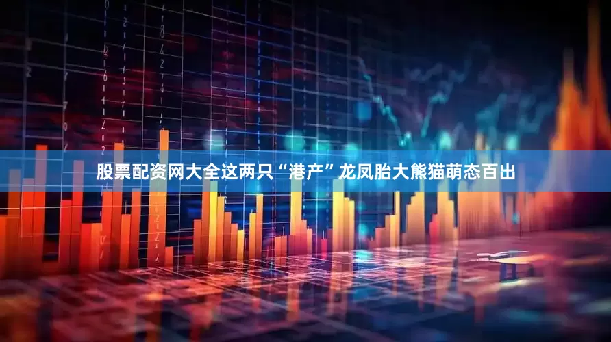 股票配资网大全这两只“港产”龙凤胎大熊猫萌态百出