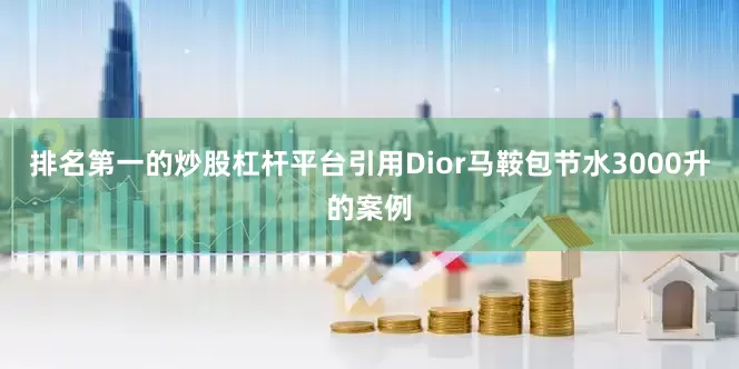 排名第一的炒股杠杆平台引用Dior马鞍包节水3000升的案例