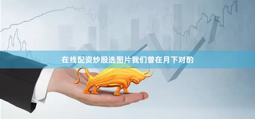 在线配资炒股选图片我们曾在月下对酌